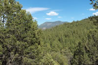 Southwest US Photo