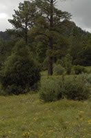 Southwest US Photo