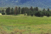 Southwest US Photo