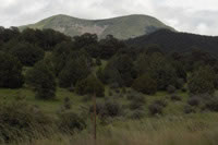 Southwest US Photo