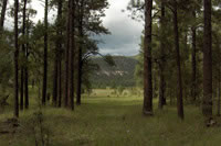 Southwest US Photo