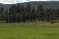 Southwest US Photo
