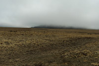 Southwest US Photo