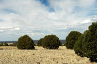 Southwest US Photo