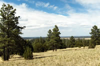 Southwest US Photo