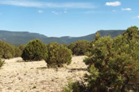 Southwest US Photo