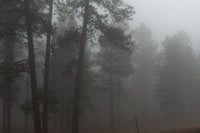 Southwest US Photo