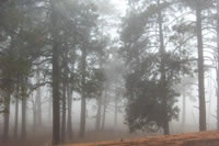 Southwest US Photo