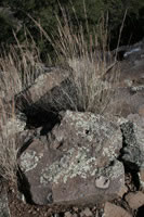 Southwest US Photo