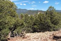 Southwest US Photo