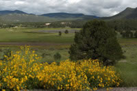 Southwest US Photo
