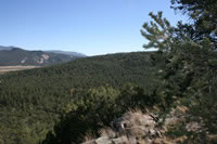 Southwest US Photo