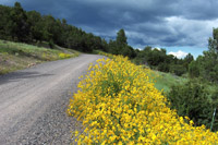 Southwest US Photo