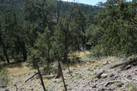 Southwest US Photo