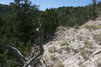 Southwest US Photo