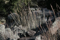 Southwest US Photo