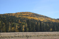 Southwest US Photo